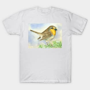 Robin bird on a frosted juniper branch T-Shirt